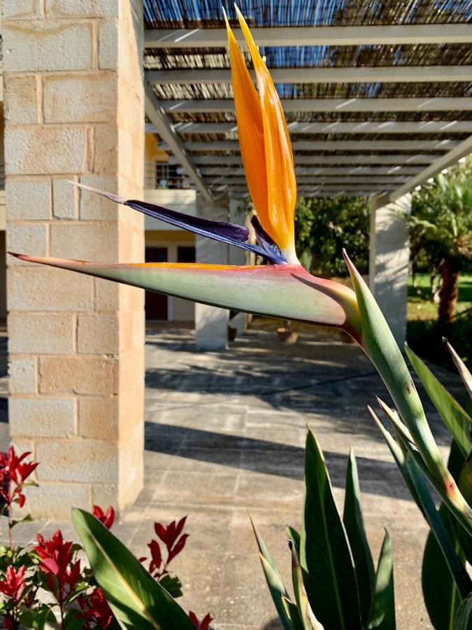 Aggelos And Thisbe Chania Suburbs Sea View Guest House Luaran gambar