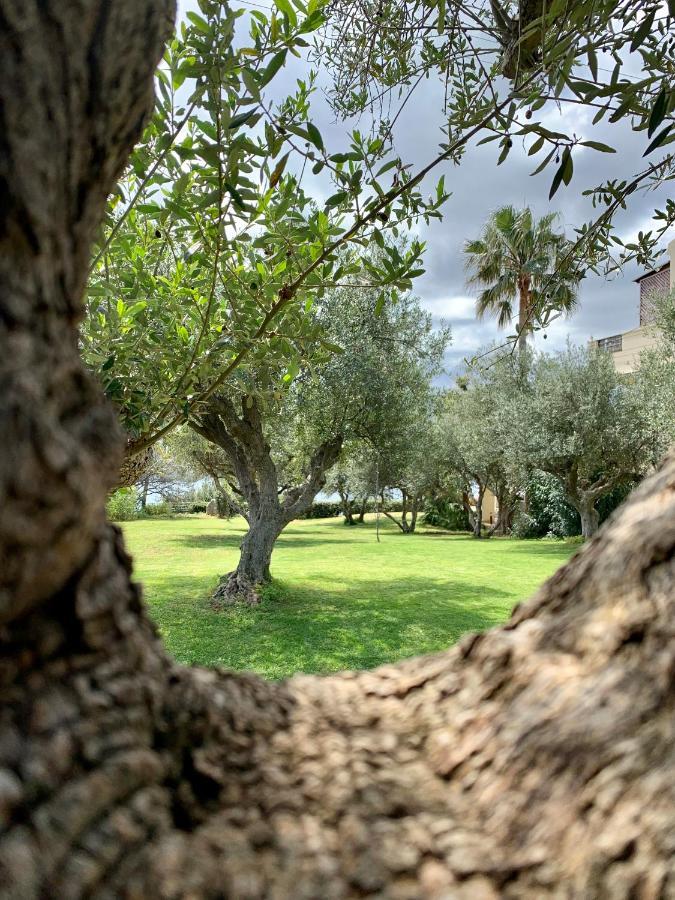 Aggelos And Thisbe Chania Suburbs Sea View Guest House Luaran gambar