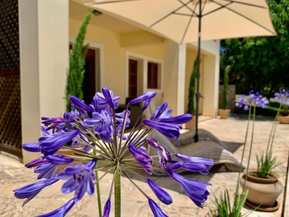 Aggelos And Thisbe Chania Suburbs Sea View Guest House Luaran gambar